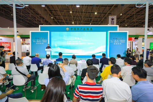 聯合國糧農組織“一國一品”中國茶項目暨2024國際茶日中國活動正式啟動，技術推廣服務助力茶產業高質量發展