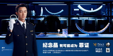 象牙禁貿(mào)一周年 海關(guān)總署 林草局聯(lián)合環(huán)保組織發(fā)布公益廣告